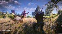 75871_DtkdrxqZuD_image_the_witcher_3_wild_hunt_25.jpg