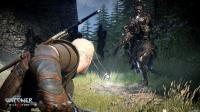 75872_r8uc7Wv4dT_image_the_witcher_3_wild_hunt_25.jpg