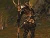 Lineage II: The Chaotic Chronicle: aao.jpg