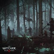 Witcher 3: Wild Hunt, The: lHqOLCuwzDw.jpg