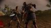 Dragon Age:Origins: leliana-screens-preview-1.jpg