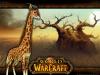 World of Warcraft: barrens-1024x.jpg