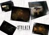 S.T.A.L.K.E.R.: Shadow of Chernobyl: stalker_fa_298_src.jpg